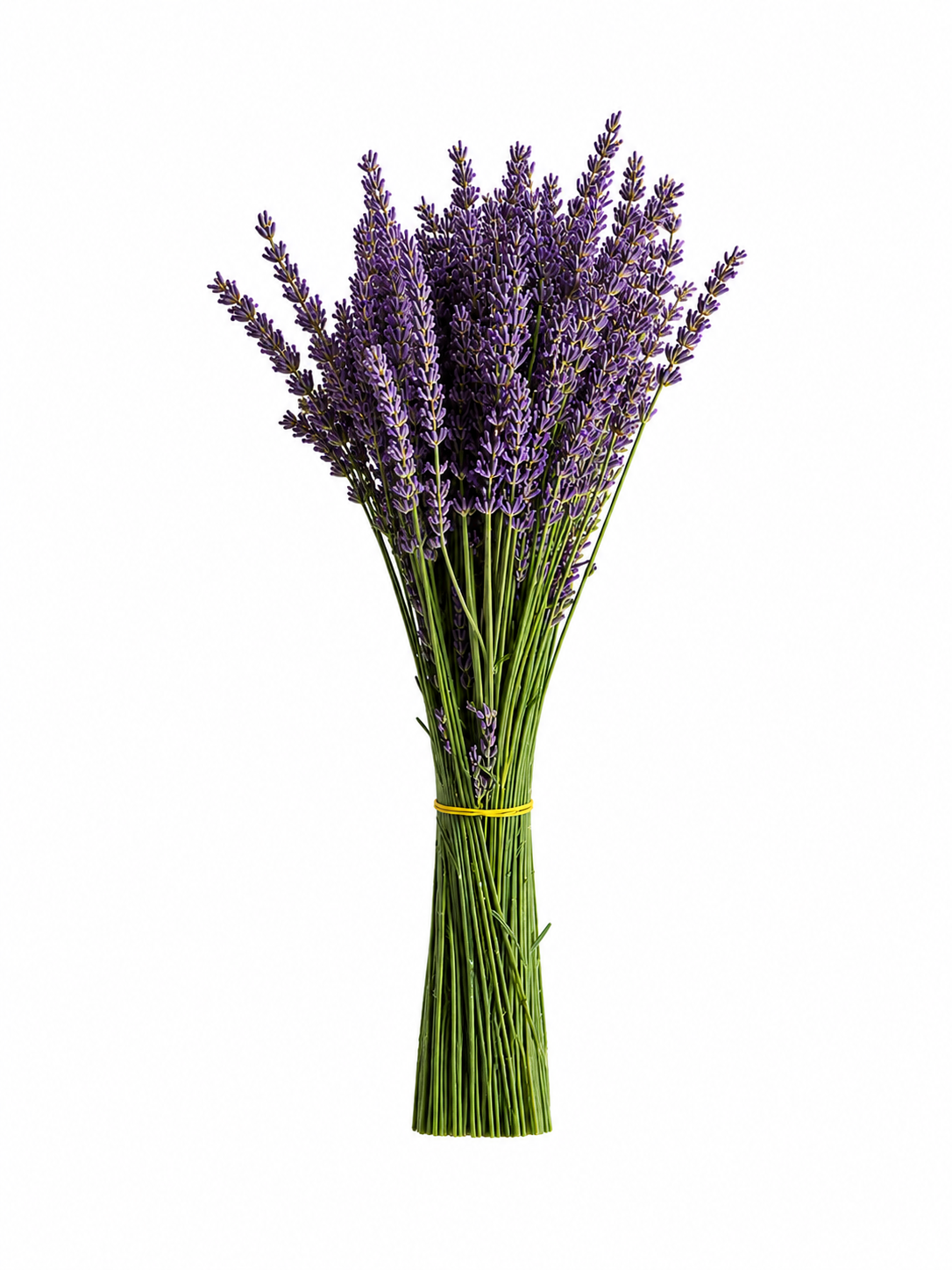 4D3961DA-0951-41AD-BFC7-68D429394987.png
